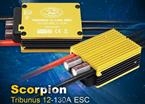 Scorpion TRIBUNUS 12-130A (SBEC) Brushless Regler 4-12S Lipo